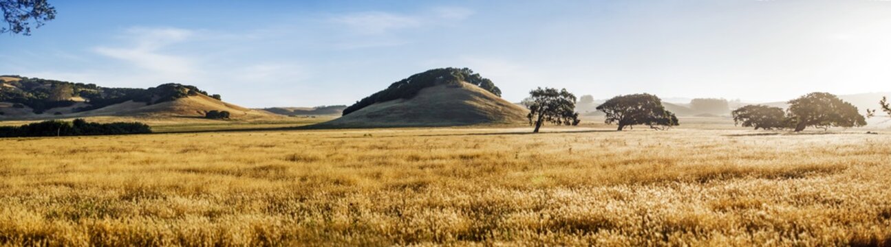 View of grassy landscape against sky