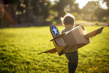 Young boy plays with his cardboard box plane in a sunny garden.