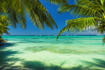 Obraz na płótnie Canvas Carribean sea, beautiful panoramic view