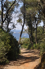 Fototapeta premium Porquerolles