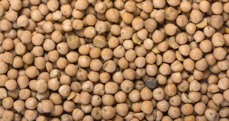 Dried white chickpeas ceci on sack. Top view