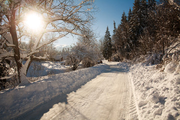 Obraz premium Snowy road in winter village sunshine with blue sky