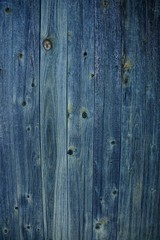 Текстура дерева © butus