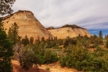Checkerboard Mesa im Zion National Park