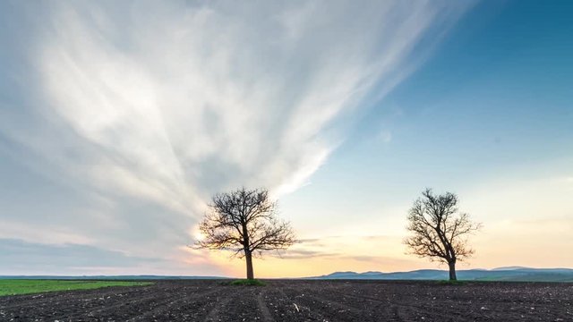 Timelapse sunset in rural landscape with walnut trees