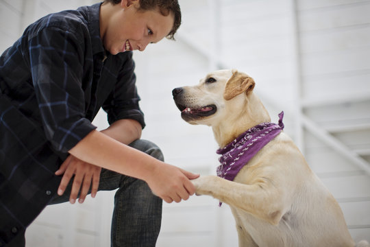Boy shaking hands with his dog.