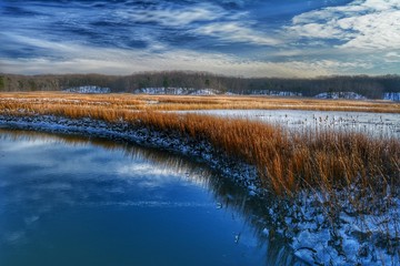 Snowy Winter Scene, Wildlife Refuge, Snow, Bird Sanctuary 
