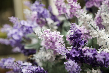 Obraz premium Plants stained purple