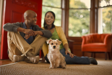 Couple sitting in their living room with pet dog.