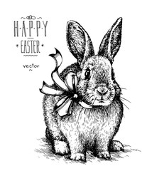 Easter rabbit bunny engrave illustration vintage graphic