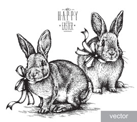 Easter rabbit bunny engrave illustration vintage graphic