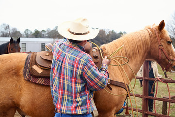 Cowboy with lasso saddling his yellow horse before rodeo training