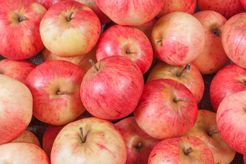 collected a pile of fresh red apples