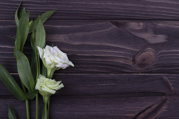 White flower on a dark wooden background. Valentine Day. Greeting card.
