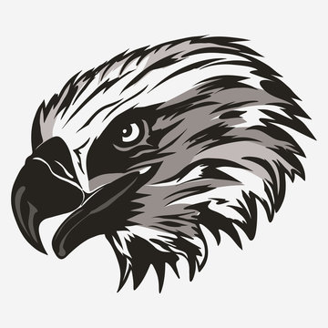 Eagle head logo vector