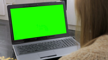 Woman looking at laptop with green screen. Business, communication, freelance and internet concept