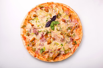 Pizza with cheese, tomatoes and chicken on a white background
