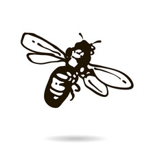 Bee icon isolated on white background