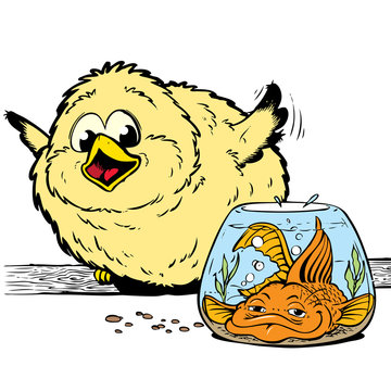 Rolig guldfisk och dunig f&aring;gelunge