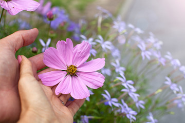 Life in your hands.