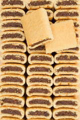 Fig cookies stacked in three rows