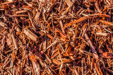 Wood chips, beauty bark.  Textured abstract background or backdrop.  Landscape mulch for natural beautiful design.