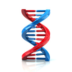 Blue and red DNA molecule icon