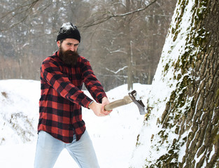 Handsome man lumberjack cuts tree