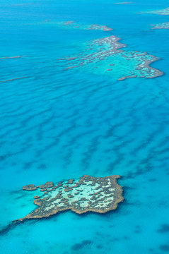 Heart Reef, Great Barrier Reef, one of the UNESCO world heritage sites, Australia