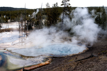 guyser with steam at yellowstone