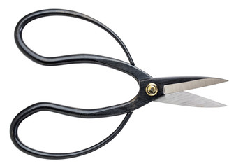 Japanese slim ohkubo flower arranging shears