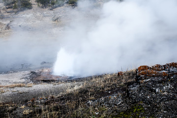 Boiling water in valcanic vent at Yellowstone