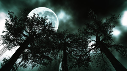 forest dark night with moon.