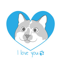 Cat in blue heart.