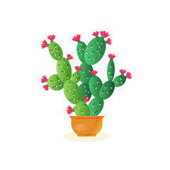 Cactus vector flat icon .
