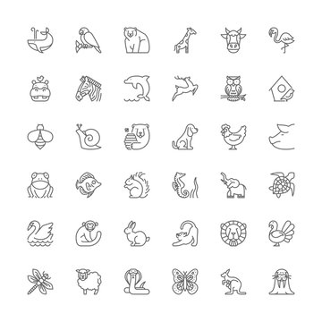 Line icons. Animals