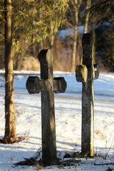 Nagrobki na zapomnianym cmentarzu w Bieszczadach