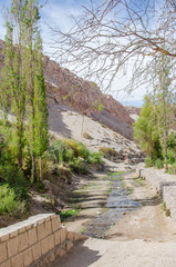Jerez oasis, Atacama Desert, Chile.
