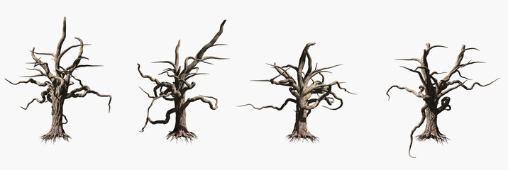  Single old and dead tree isolated on white background