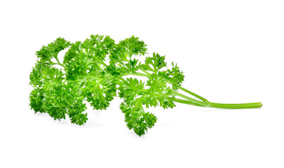 Parsley isolated on white background