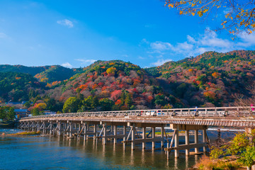Fototapeta premium Jesienne liście w Arashiyama, Kioto