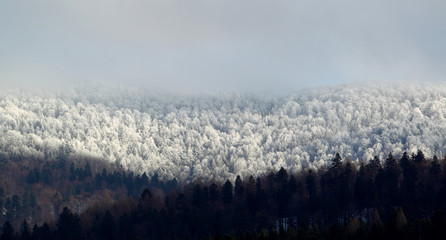 Krajobraz Bieszczadów zimą