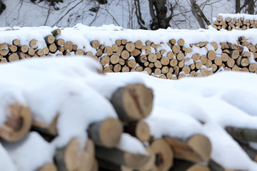 skład drewna w Bieszczadach
