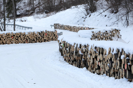 skład drewna w Bieszczadach