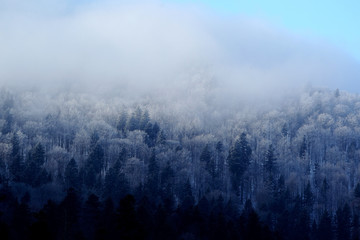 Fototapeta premium Zimowy krajobraz Bieszczadów