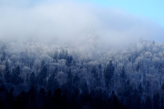 Fototapeta Zimowy krajobraz Bieszczadów