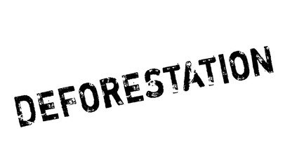 Deforestation rubber stamp