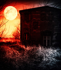  halloween haunted house in creepy night forest.
