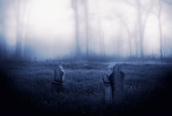 Dark Horror hell Forest  gravestone background.