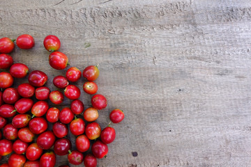 Fresh coffee bean on wooden background